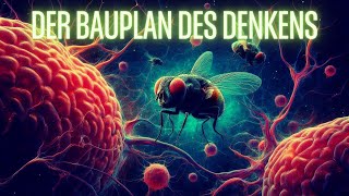 Der Bauplan des Denkens [upl. by Kleeman593]