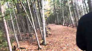 Oromocto Wetlands Trail in New Brunswick Canada 🇨🇦 [upl. by Kcirdde]