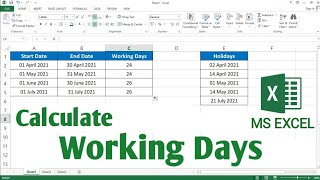 How to Calculate Working Days in Excel  Workday Function in Excel [upl. by Cicely]