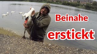 Schwan beinahe erstickt  Tiernotruf 120 [upl. by Eudocia626]