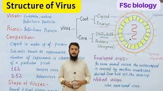 structure of virus  Structure of model viruses  class 11 [upl. by Jeroma]