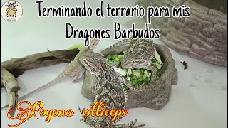 Terminando el terrario para mis Dragones Barbudos  PIMVS México exótico [upl. by Nivlam9]