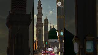 Sabir Raza Azhari Naat Shareef Status [upl. by Adnerad349]