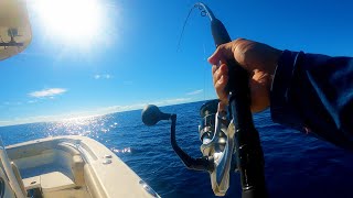 Testing the Saragosa Reel on Big Fish [upl. by Yatnoed]