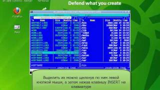 Копирование файлов с использованием DrWeb LiveCD [upl. by Arah845]