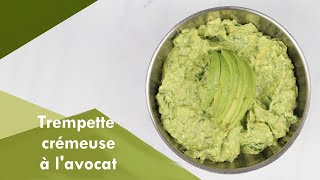 Recette Trempette crémeuse à lavocat l Dr Eric Berg [upl. by Ennairac581]