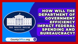 How Will the Department of Government Efficiency Impact Federal Spending and Bureaucracy [upl. by Shelley804]