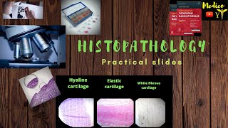 Histopathology images slides  Histology spots in practical  Real camera images Anatomy Pathology [upl. by Strohbehn]