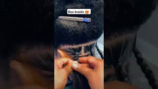 Box braids foryou hairstyles subscribe braids haircare [upl. by Anson]