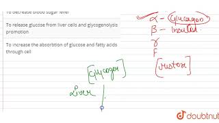 The function of glucagon hormone is [upl. by Pincince]