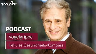 15 Vogelgrippe Ab wann für Menschen gefährlich  Podcast Kekulés GesundheitsKompass  MDR [upl. by Oeflein30]