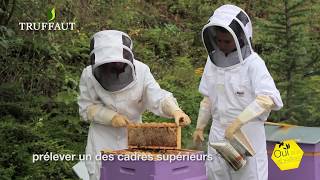 Apiculture  la récolte du miel  Truffaut [upl. by Eihs656]