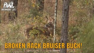 Broken Rack Bruiser Georgia Buck and Kentucky Deer Hunting 712 [upl. by Waylen]