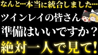 【超有料級】今まで誰にも話してこなかったツインレイ統合の極意を教えます。【ゆっくり解説】【ゆっくりスピリチュアル】 [upl. by Garvin]