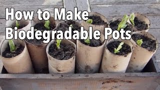 How to Make Biodegradable Plant Pots  Homemade Seed Starting Pots [upl. by Ssilb]