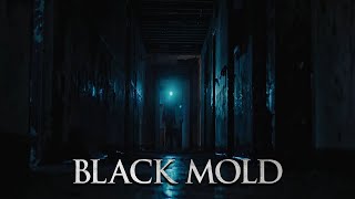 Black Mold  Bande annonce VOSTFR [upl. by Ylrrad955]