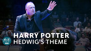 John Williams  Hedwig’s Theme Harry Potter  WDR Funkhausorchester [upl. by Akinirt38]