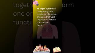 Organ systems  organ systems definition organsystem organ biology science youtubeshorts [upl. by Wolfy]