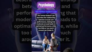 The Yerkes Dodson Law psychology shorts education [upl. by Decato]