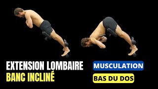 BAS du DOS Exercice musculation  Extension lombaire banc incliné   Musculation DOS [upl. by Libb971]