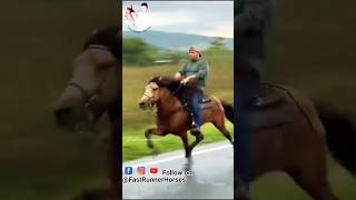 विदेशी घोड़े की सिंधी चाल 🏇 horseriding horselover sindhihorse animal horse horseshorts [upl. by Hashimoto]