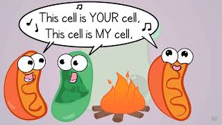 Microbial endosymbiosis and epiphytes [upl. by Earl404]