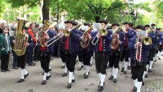 Musikverein MV Zainingen beim Landesmusikfest 2010 in Metzingen Marschmusikbewertung [upl. by Huxham]