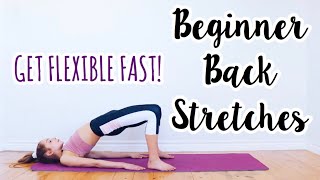 Back Stretches for the Inflexible Beginner Flexibility Routine [upl. by Etam]