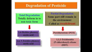 Xenobiotics biodegradation part 2 [upl. by Siblee]