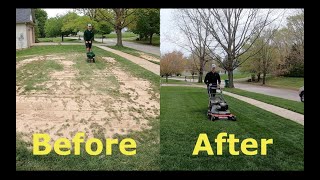 Step by Step Guide to OVERSEEDING Better looking lawn FAST [upl. by Lederer]