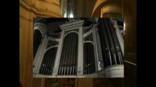 Himno Pontificio en la Catedral Primada de Buenos Aires [upl. by Palumbo637]