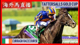 【海外馬直播】Tattersalls Gold Cup 達德素金盃 Irish 1000 Guineas 愛爾蘭一千堅尼 Curragh Racecourse 卻拉馬場 Ireland 愛爾蘭 [upl. by Nurse]