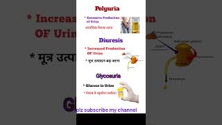 Medical Terminologypolyuria  DiuresisGlycosuriaMedical Terms short vedeo [upl. by Velleman]