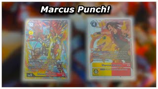 THE ULTIMATE TEAM  ShineGreymon amp Marcus Deck List [upl. by Aedni811]