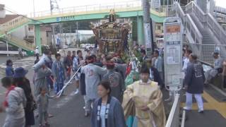 平成28年 鎌倉腰越＜龍口明神社＞例大祭宵宮 神輿渡御（西鎌倉＝県道304号線） [upl. by Janey]