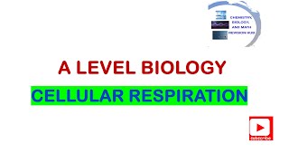 A level  Biology  Topic 7A  Cellular respiration  Pearson Edexcel [upl. by Enelear]