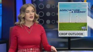 AG amp ENERGY Crop Outlook [upl. by Ycnahc]