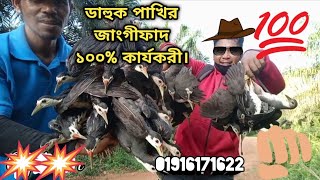 ডাহুক পাখি ।বগ পাখি। কোড়া পাখি।অতিথি পাখি শিকার করা সহজ চায়না জাংগী ফাদ। [upl. by Neelyak]