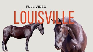 Louisville  FULL VIDEO  Draft Cross [upl. by Payton361]