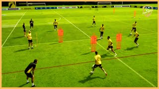 Borussia Dortmund  Nuri Sahin  Intense Passing Combinations [upl. by Felipa783]