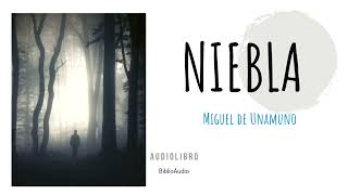 Niebla Miguel de Unamuno Audiolibro Completo [upl. by Ardnuhsed]