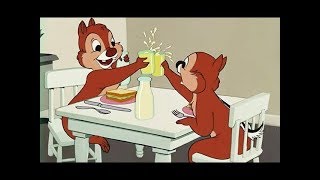 Kaczor donald i Chip i Dale  Kreskówki dla dzieci po polsku 2018  2 [upl. by Zachery]