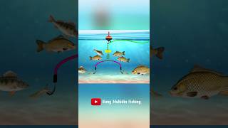 RIG FISHING DIY The secret of fisherman Fishing Knot skills fishing fishingknot diy tutorial [upl. by Ailimat]