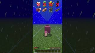 Water Damage vs Different Mobs meme shorts minecraft [upl. by Notnroht776]