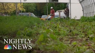 This Detroit Farm Is Helping Former Inmates Stay Out Of Prison  NBC Nightly News [upl. by Jeni293]