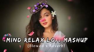 BEST LOFI MASHUP SONG🥰 MASHUP LOVE  MIND RELAX LOFI MASHUP  LOFI SONGS SLOWEDLuckyRaja07 [upl. by Rogozen757]