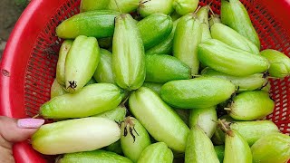 Bilombo  Bilimbi Fruit pickle [upl. by Raynold]