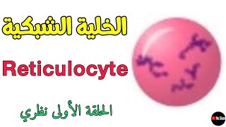 الخلايا الشبكية ما هي؟ أسباب ارتفاعها وأسباب انخفاضها Reticulocyte 🩸 [upl. by Nahgam263]