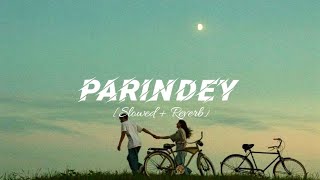 Parindey Slowed  Reverb  B Praak  New Punjabi Song 2024 [upl. by Ynamreg]