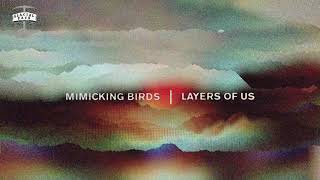 Mimicking Birds  Belongings Official Audio [upl. by Nanaj]